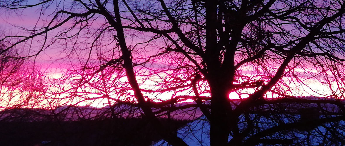 Eine Pflanze braucht Sonne um Pflanze zu werden.